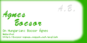 agnes bocsor business card