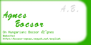 agnes bocsor business card